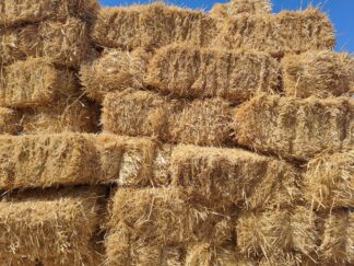 Straw (Wheat)